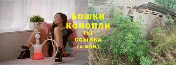 прущие грибы Остров